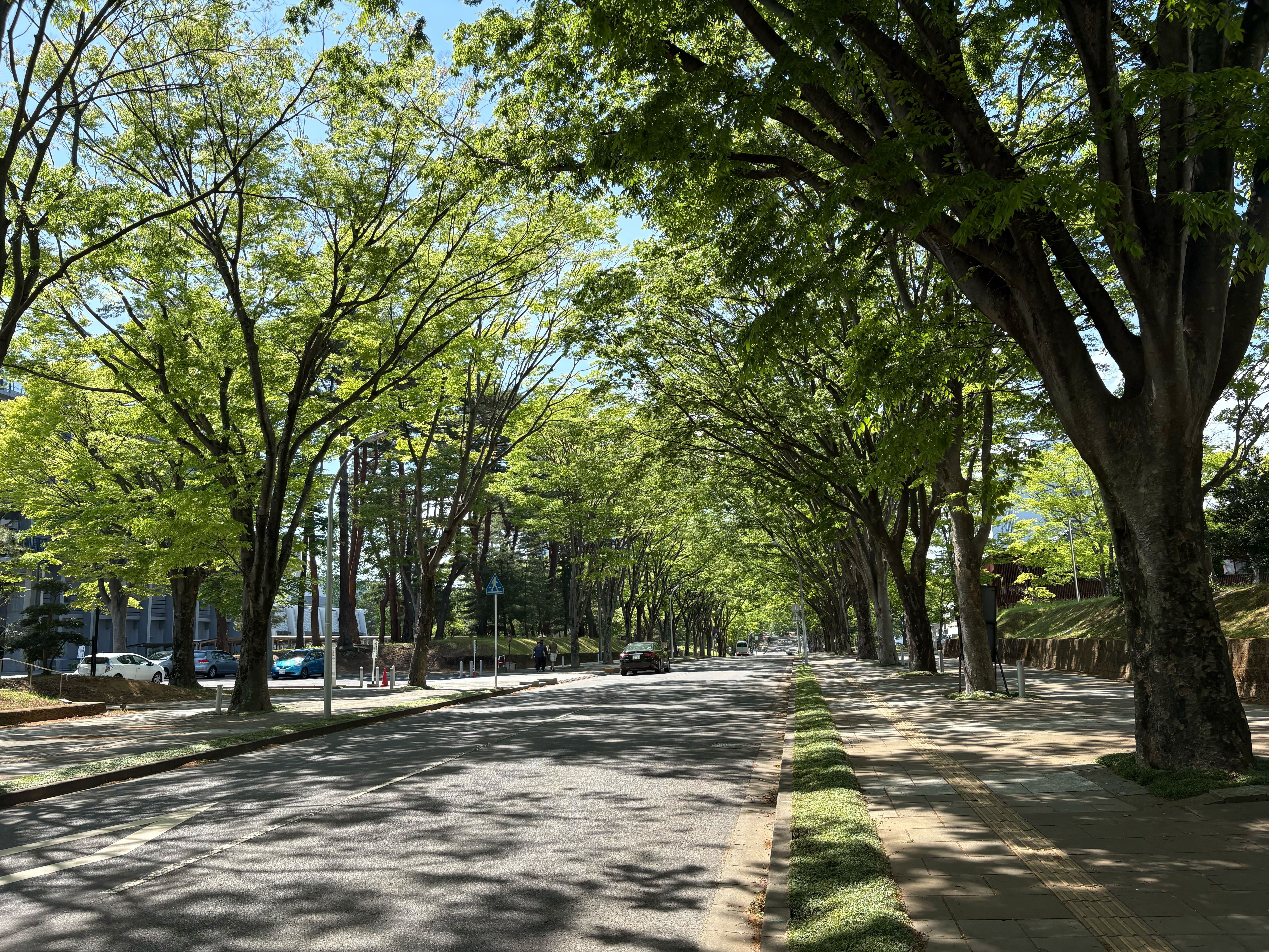 学生募集の代表画像